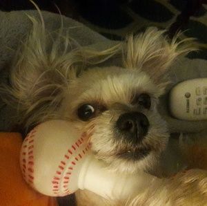 Meet your Posher, Abby